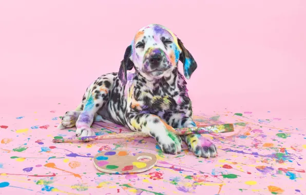 Picture paint, dog, brush