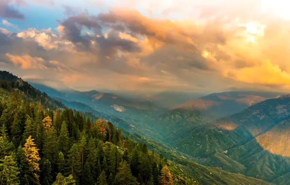 Picture forest, clouds, mountains, CA, panorama, USA, Kings Canyon National Park