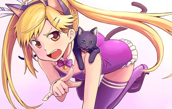 Cat, anime, girl, neko, ears, ponytail