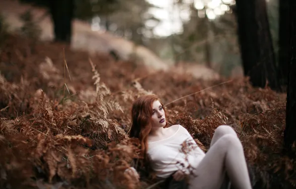 Picture GIRL, FOREST, LOOK, SADNESS, REDHEAD, DANIELLE