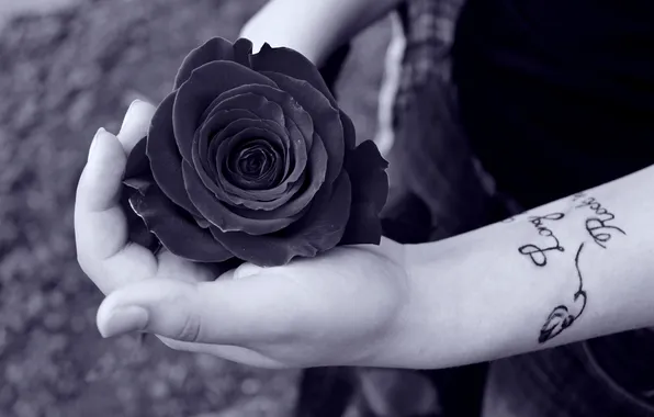 Picture girl, rose, hand, tattoo