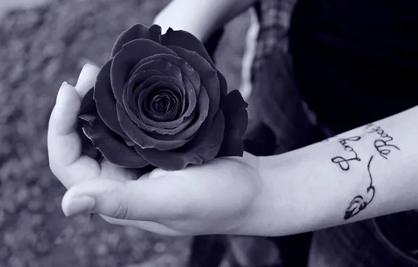 Girl, rose, hand, tattoo