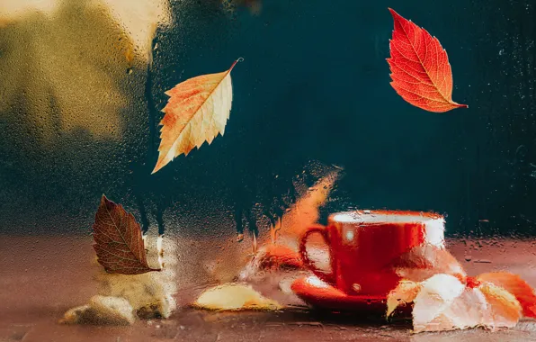 Picture autumn, glass, drops, red, table, tea, foliage, Cup