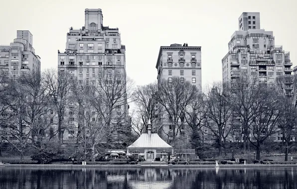 Trees, the city, lake, Wallpaper, building, New York, New York, wallpapers