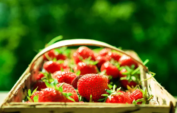 Picture greens, macro, berries, background, basket, strawberry, red, basket