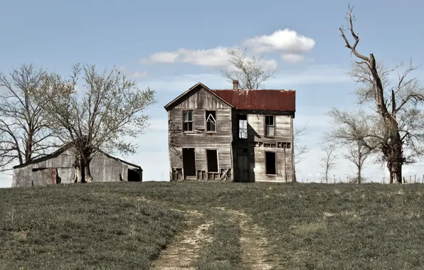 Picture field, landscape, home