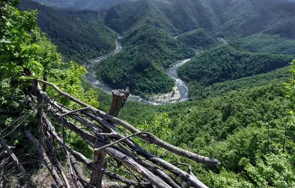 Greens, trees, mountains, fence, space, space, trees, mountains
