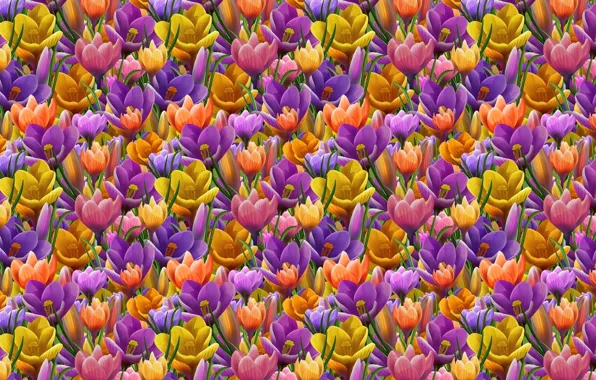 Flower, background, texture, spring, art, Krokus