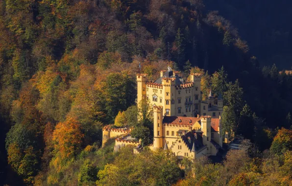 Autumn, landscape, nature, castle, Germany, Bayern, forest, Hohenschwangau