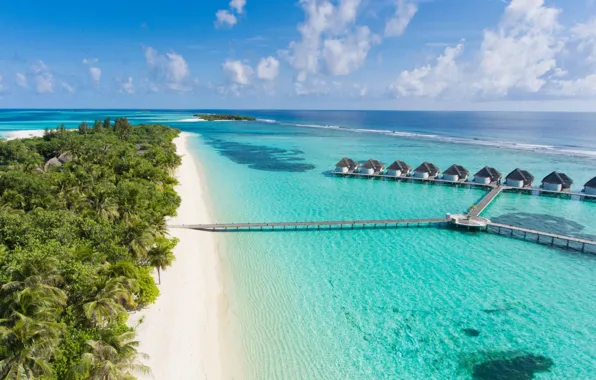 Beach, palm trees, the ocean, The Maldives, resort, Maldives, Jumeirah Vittaveli, Kanuhura aerial