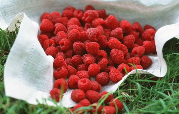 Picture berry, yummy, a lot, Raspberry