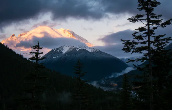 Picture winter, the sky, clouds, snow, trees, mountains, nature, USA