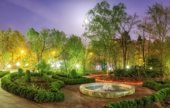 Picture trees, design, lights, Park, the evening, lights, fountain, Russia