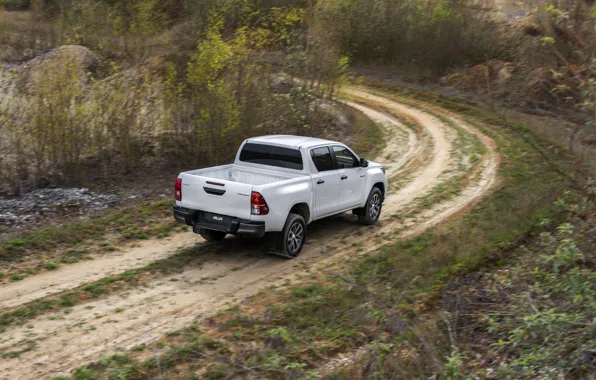 Road, white, vegetation, turn, Toyota, pickup, Hilux, Special Edition