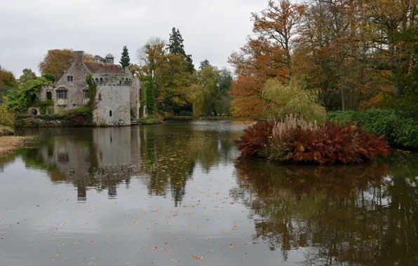 Picture Lake, Fall, Autumn, Colors, Lake, Trees, Scotney Castle, Scotney Castle