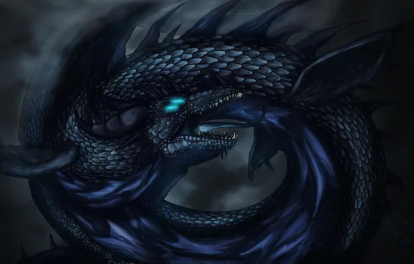 Black, dragon, ring, art, mouth, tail