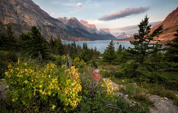 Forest, mountains, nature, lake, Glacier National Park, Montana