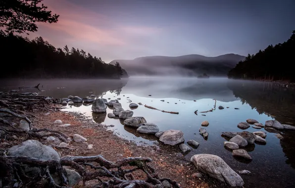 Picture landscape, fog, lake