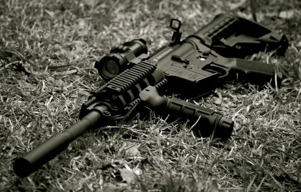Picture grass, machine, assault rifle