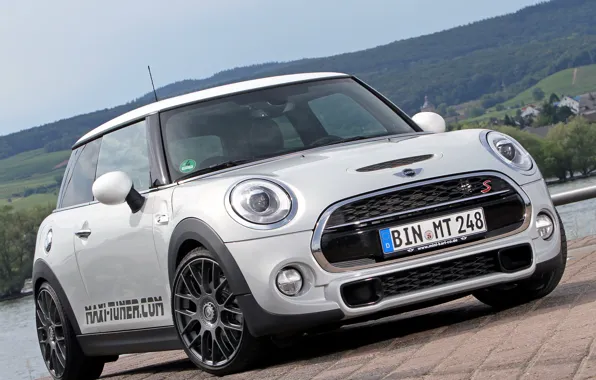 Cooper, mini, Cooper, MINI, F56, Maxi-Tuner