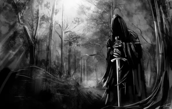 Picture forest, nature, sword, forest, ghost, Nazgul, nazgul, tree