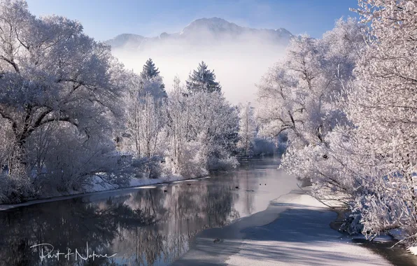Picture winter, snow, trees, mountains, nature, river