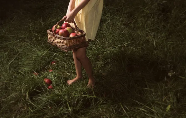Picture apples, girl, basket
