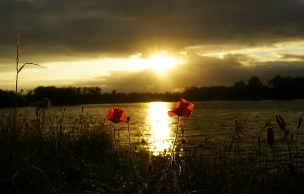 Picture night, river, Maki