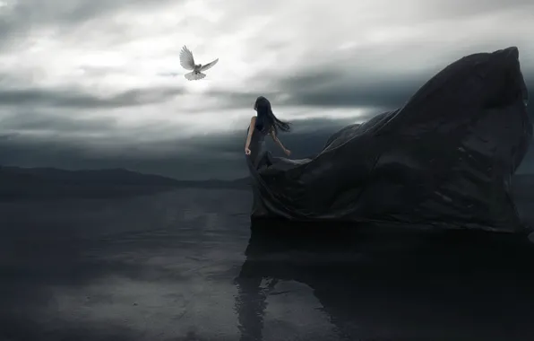 Picture girl, reflection, dress, art, pigeons