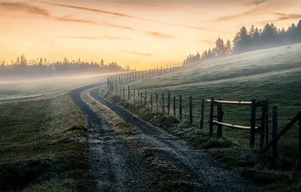 Picture road, field, nature, fog, the fence, morning