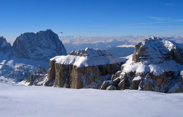 Snow, mountains, bird, height, horizon