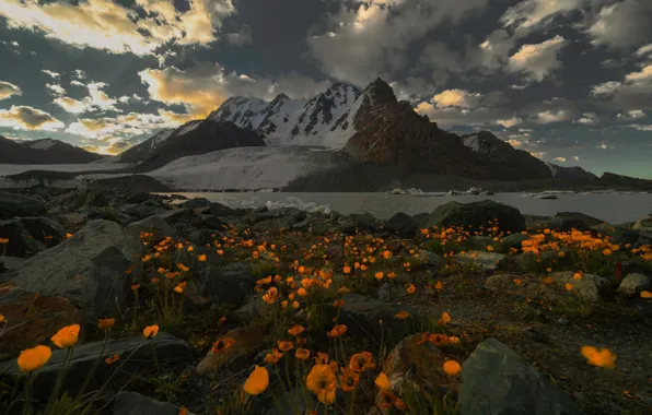 Clouds, flowers, mountains, overcast, the foothills, geoltye