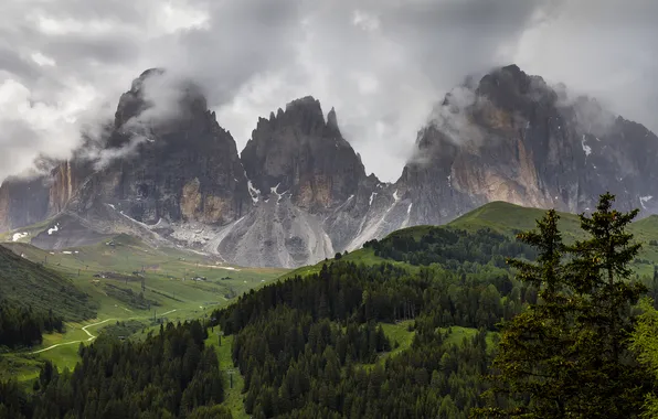 Forest, clouds, mountains, fog, overcast, rocks, hills, the slopes
