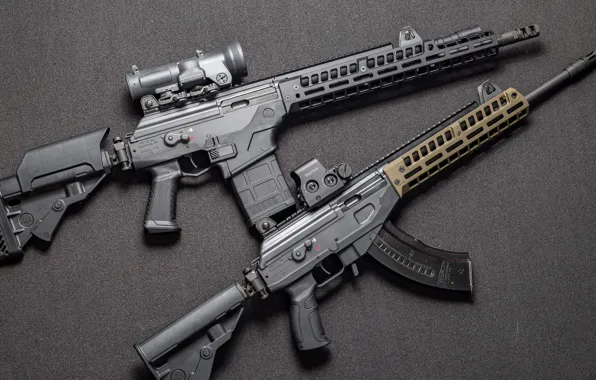 Weapons, Machine, Gun, weapon, custom, Custom, Assault rifle, AR-15