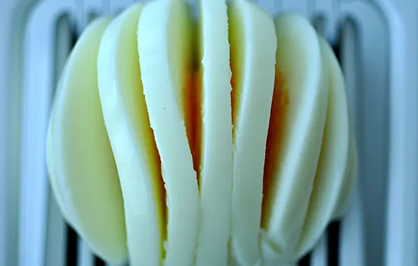 Macro, eggs, Breakfast