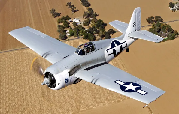 Field, trees, flight, landscape, the plane
