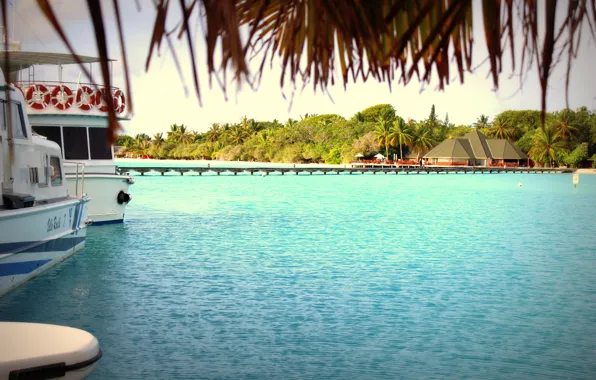 Palm trees, pier, The Maldives, Laguna