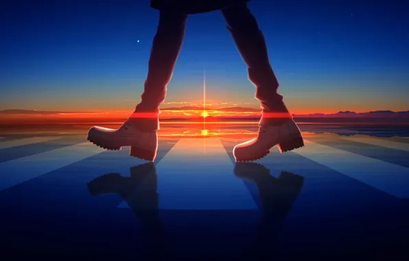 Ice, the sky, sunset, feet, Zebra, Nengoro