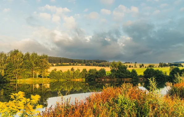 Field, autumn, forest, the sky, clouds, trees, reflection, river