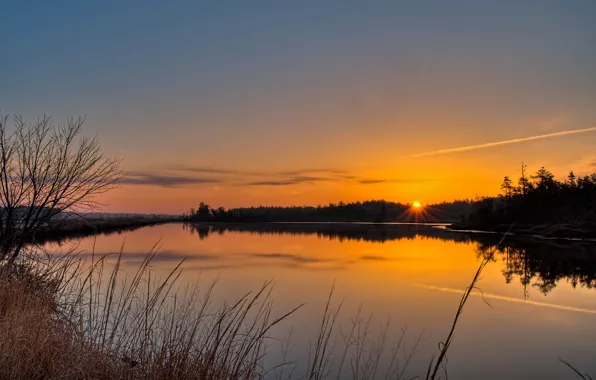 Picture forest, the sun, lake, river, sunrise, morning