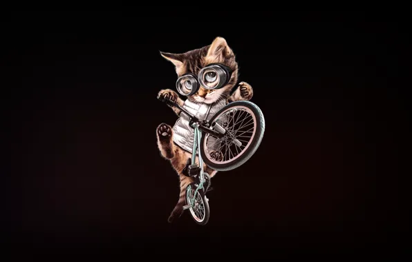 Picture Minimalism, Kitty, Glasses, Cat, Style, Bike, Art, Art