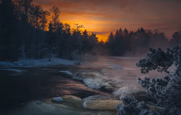 Winter, frost, forest, snow, sunset, branches, fog, river