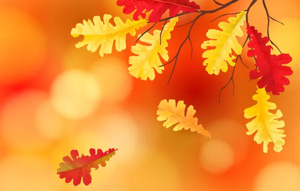 Leaves, background, autumn, leaves, autumn, fall