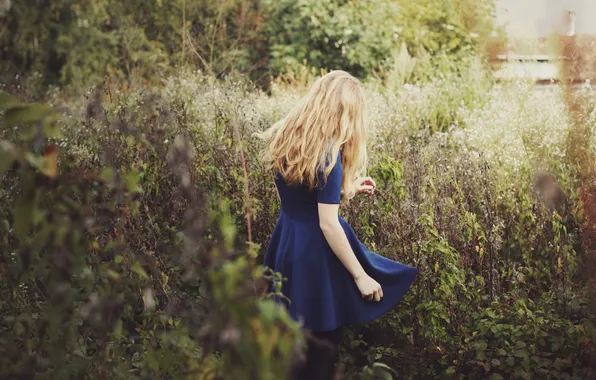 Picture grass, girl, dress, blonde