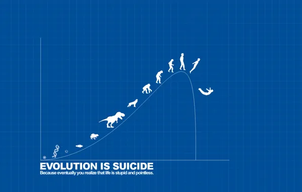 Picture labels, the inscription, evolution of suicide, evolution is suicide