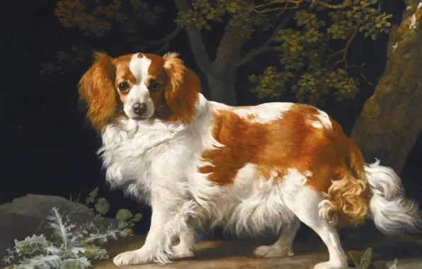 Picture painting, Spaniel, George Stubbs