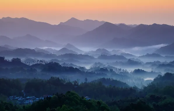 Forest, mountains, fog, the slopes, tops, dal, morning, haze