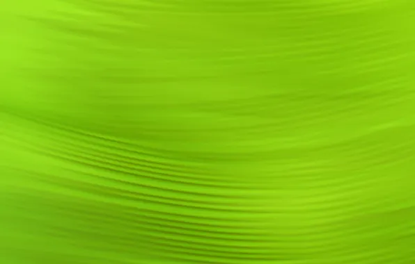 Green, pattern, color