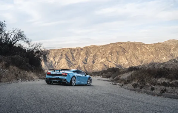 Lamborghini, Gallardo, rear view, LP550-2 MLE