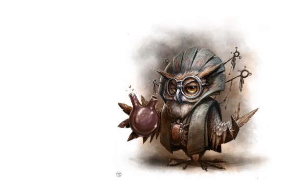 Owl, art, Illustrator, children's, the alchemist, As Tomek, Owl Wizard - personal work